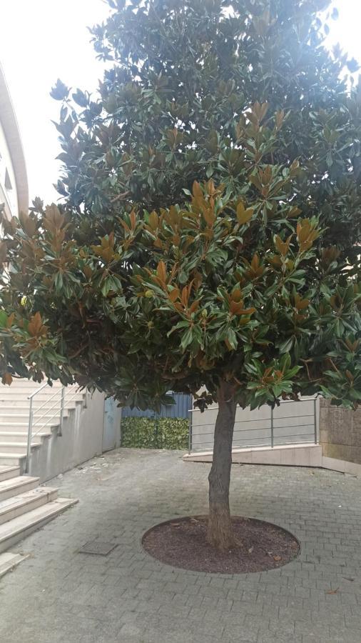 Appartamento Rosselli93 Matera Esterno foto